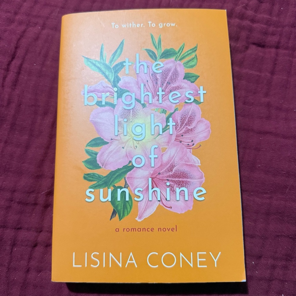 ‘The Brightest Light of Sunshine’ by Lisinia Coney